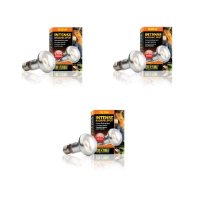 Exo Terra – 3x Intense Basking Spot 50W S20 E27 Orange – Bundle (220.2450) v:3026294