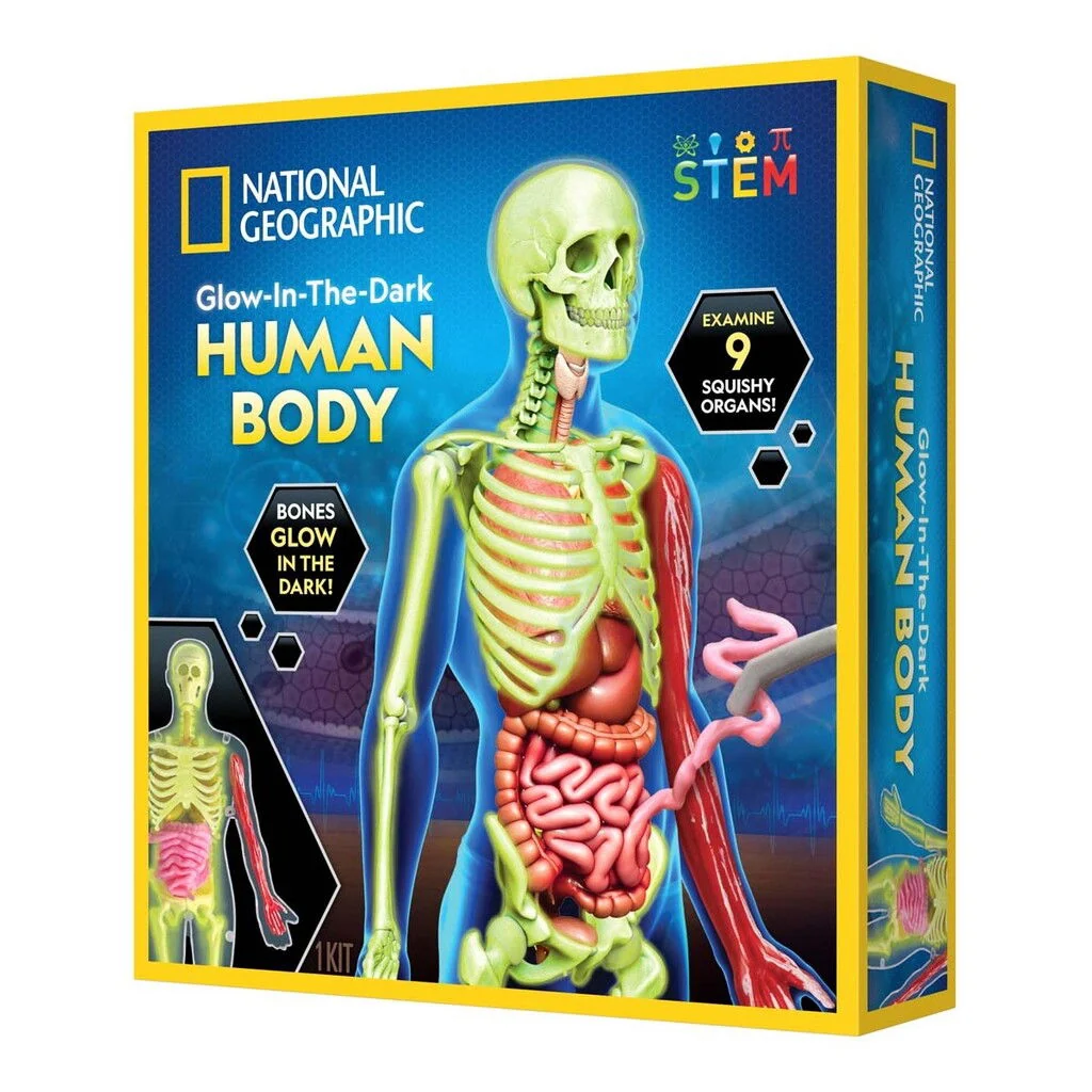 National Geographic – Human Body Science Kit (29-2454) v:8087316
