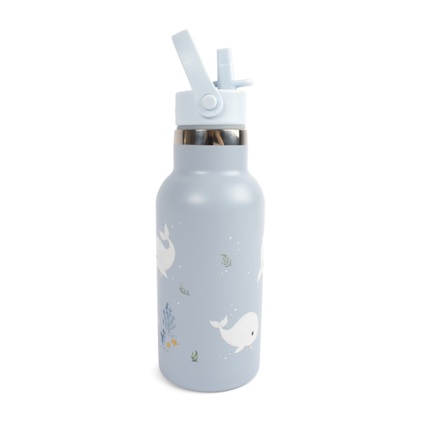 Filibabba – Stainless Steel Water Bottle – Blue – 350ml v:7398705