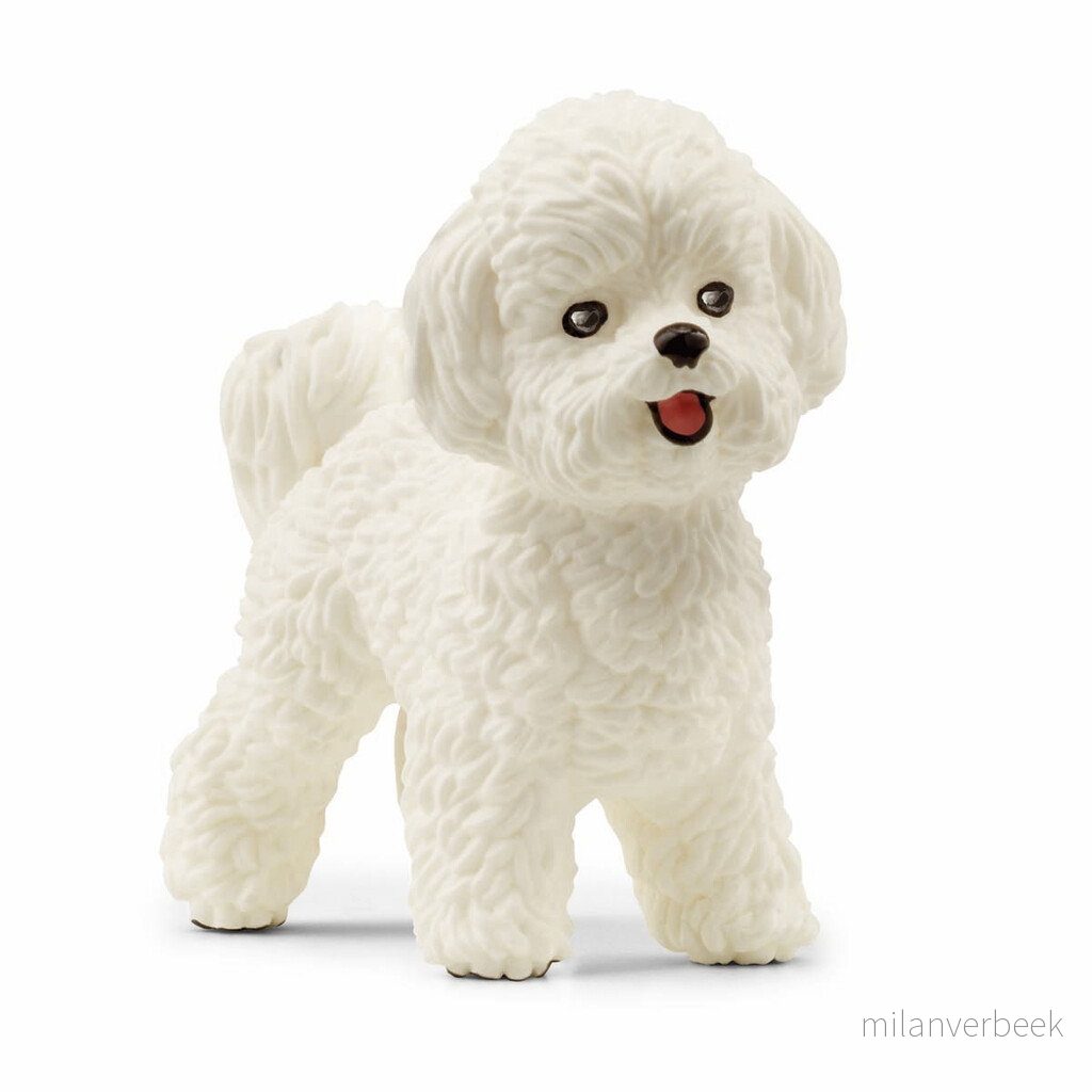 Schleich – Farm World – Bichon Frisé (13963) v:5283046