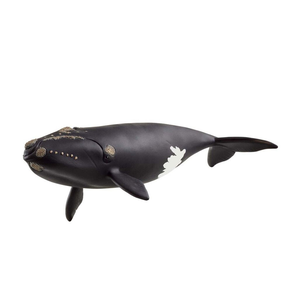 Schleich – Wild Life – North Atlantic Right Whale (14878) v:2930181