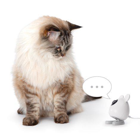 Catit – PIXI Smart Camera 7x12cm – Gratis frakt v:5447205