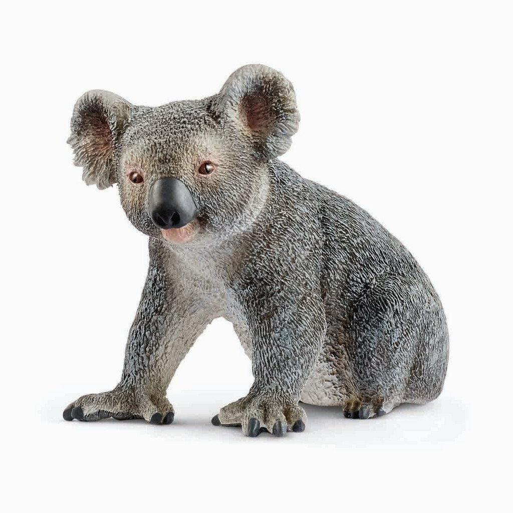 Schleich – Koala Bear (14815) v:1422459