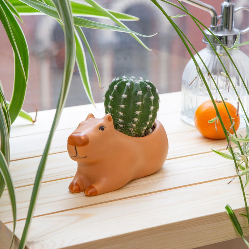 Kikkerland – Cappy the Capybara Planter Small – 4.5" x 2.5" x 2.5" v:1507629 Kikkerland – Cappy the Capybara Planter Small – 4.5" x 2.5" x 2.5" v:1507629