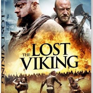 Lost Viking v:8524727