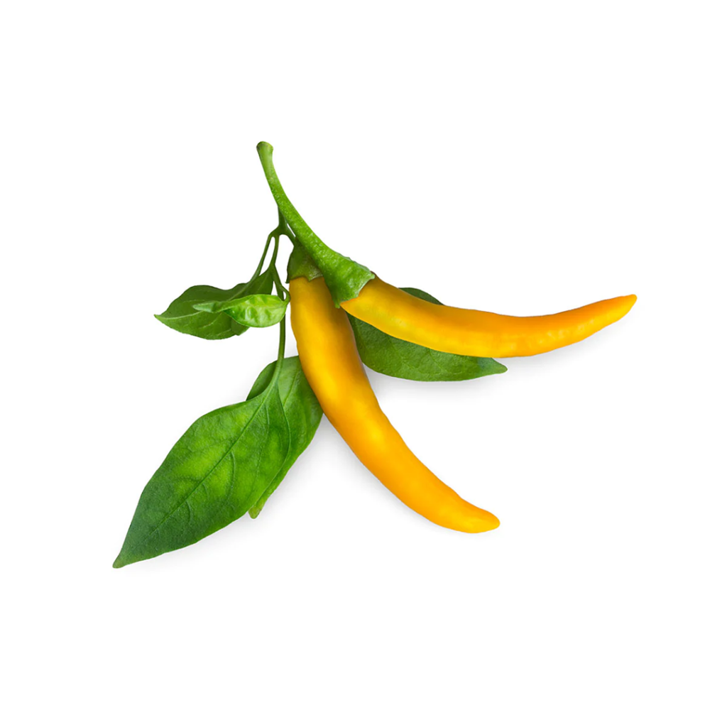 Click and Grow -- Smart Garden Refill 3-pack Yellow Chili Pepper v:6996029