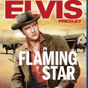 FLAMING STAR (ELVIS PRESLEY) v:9566937