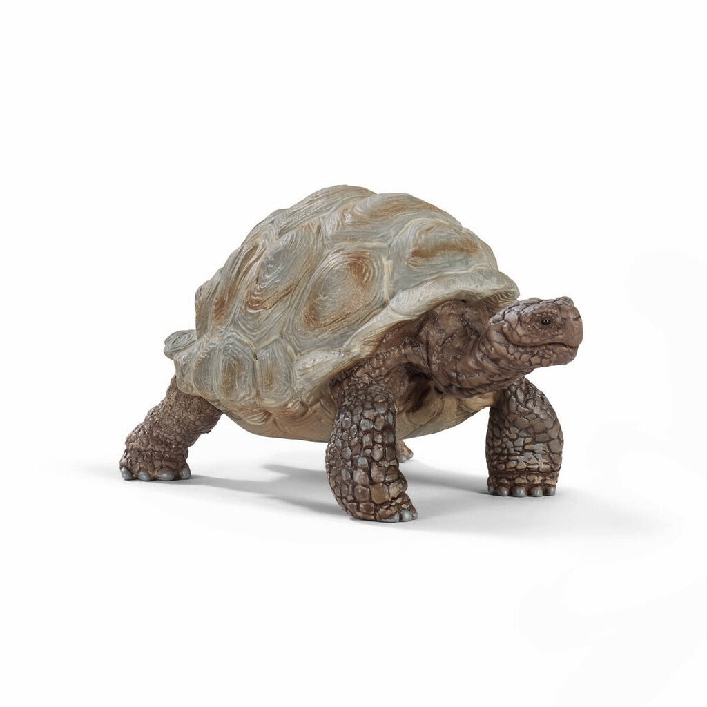 Schleich – Wild Life – Giant Tortoise (14824) v:9447307 Schleich – Wild Life – Giant Tortoise (14824) v:9447307
