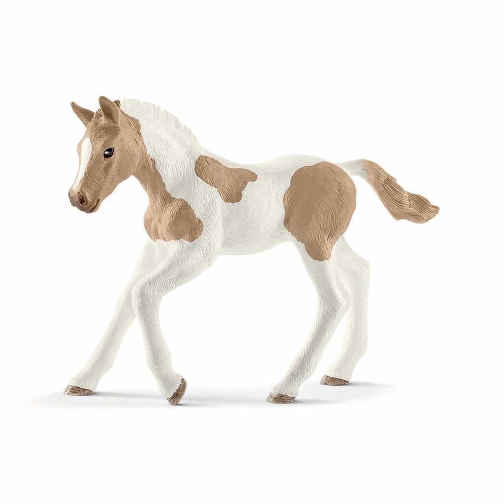 Schleich – Paint Horse Foal (13886) v:7431284