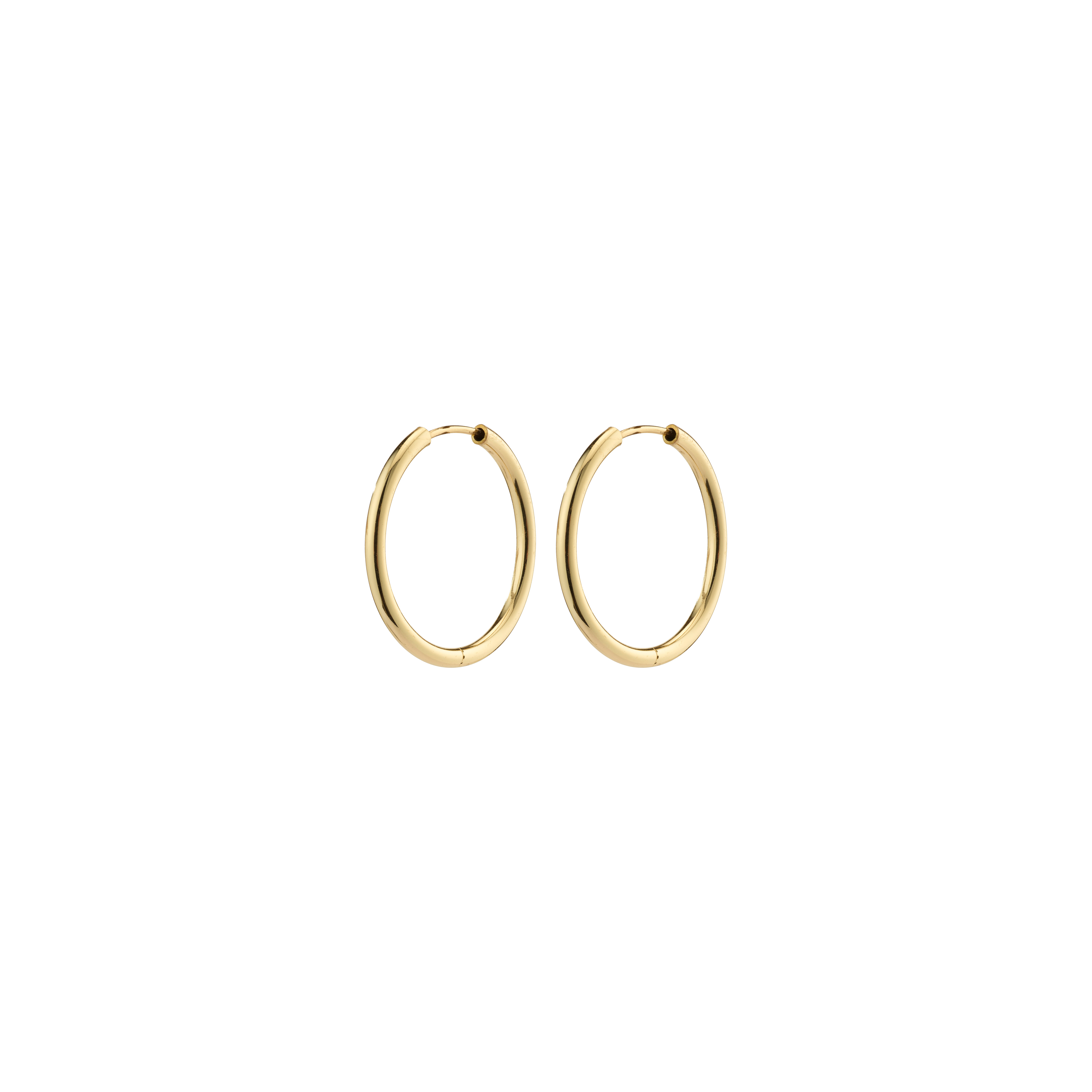 PILGRIM – APRIL Small Hoop Earrings – Gold-Plated – 20 mm v:2887037 PILGRIM – APRIL Small Hoop Earrings – Gold-Plated – 20 mm v:2887037