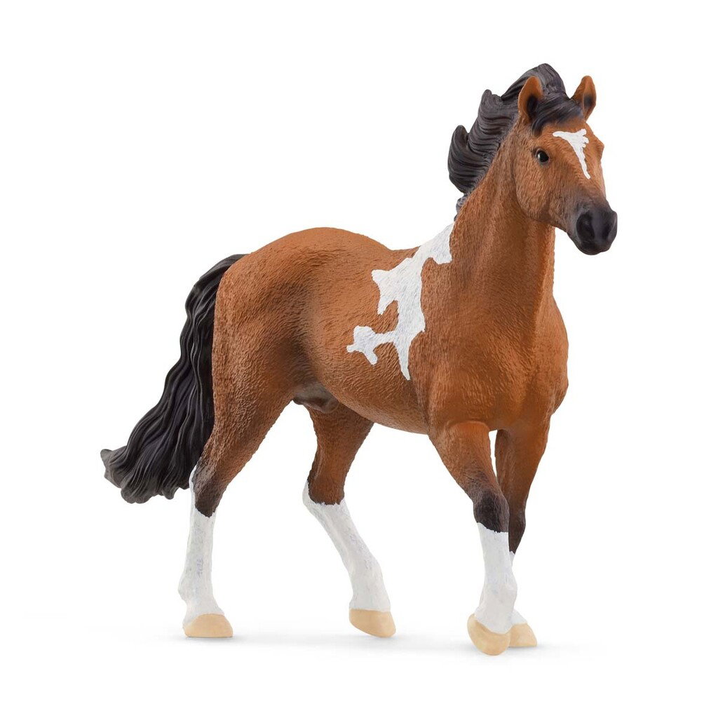 Schleich – Horse Club – Mangalarga Marchador Stallion (13978) v:3030908 Schleich – Horse Club – Mangalarga Marchador Stallion (13978) v:3030908