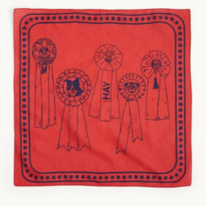 HAY – Recycled Dogs Scarf 55 x 55 (Red) – M – Red v:4516881