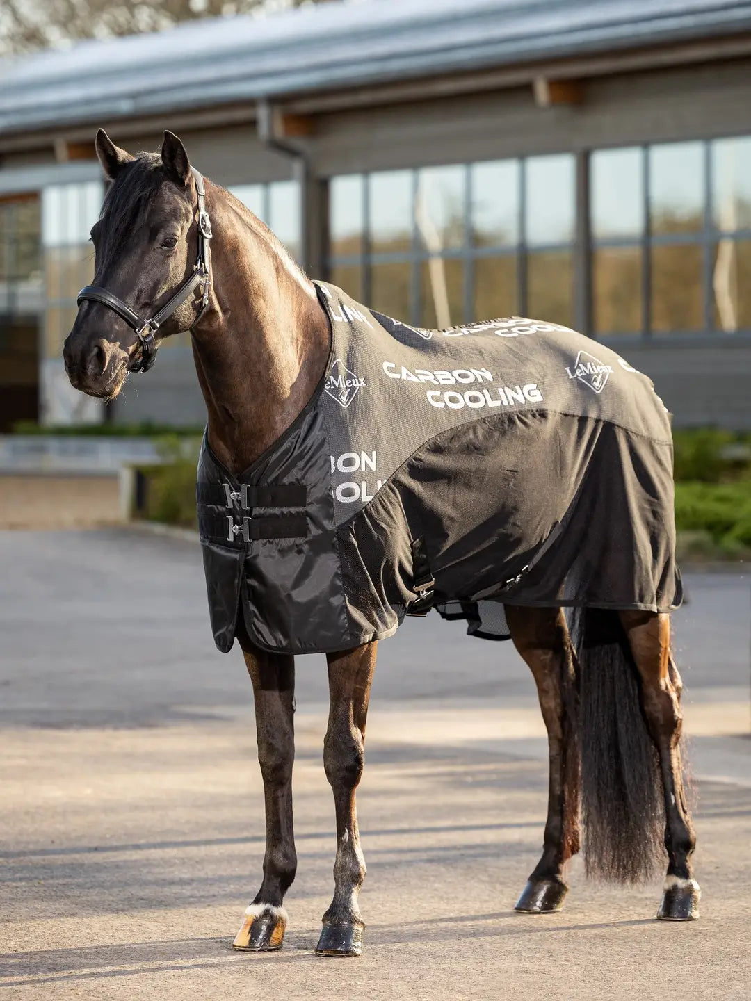 Lemieux - Carbon Cooler Rug - Black - 140 cm - Gratis frakt v:9277667