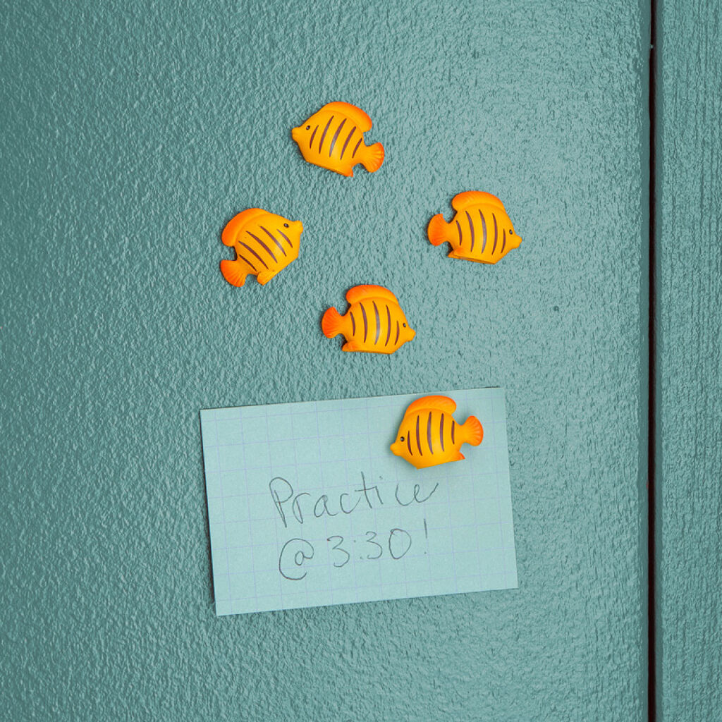 Kikkerland - Fish Magnets v:6230502