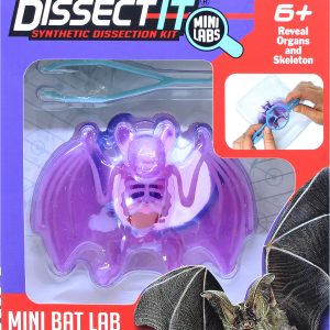Sensory Compounds – Bat In Giftbox (12-38087) v:7770305