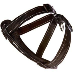 Ezydog – Harness Neoprene Black M 10-19Kg Walking/Car Harness – (605.0318) – M – black v:4434282