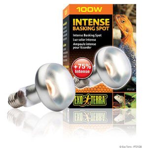 Exoterra – Intense Basking Spot – Orange – 100W S25 E27 v:2209758