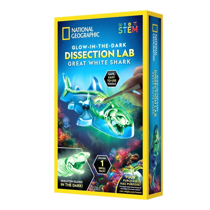 National Geographic – Dissection Lab Shark (29-2461) v:3808895 National Geographic – Dissection Lab Shark (29-2461) v:3808895