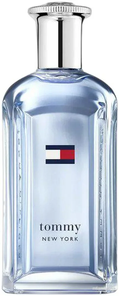 Tommy Hilfiger - Tommy New York EdT - 100 ml - Gratis frakt v:3120205