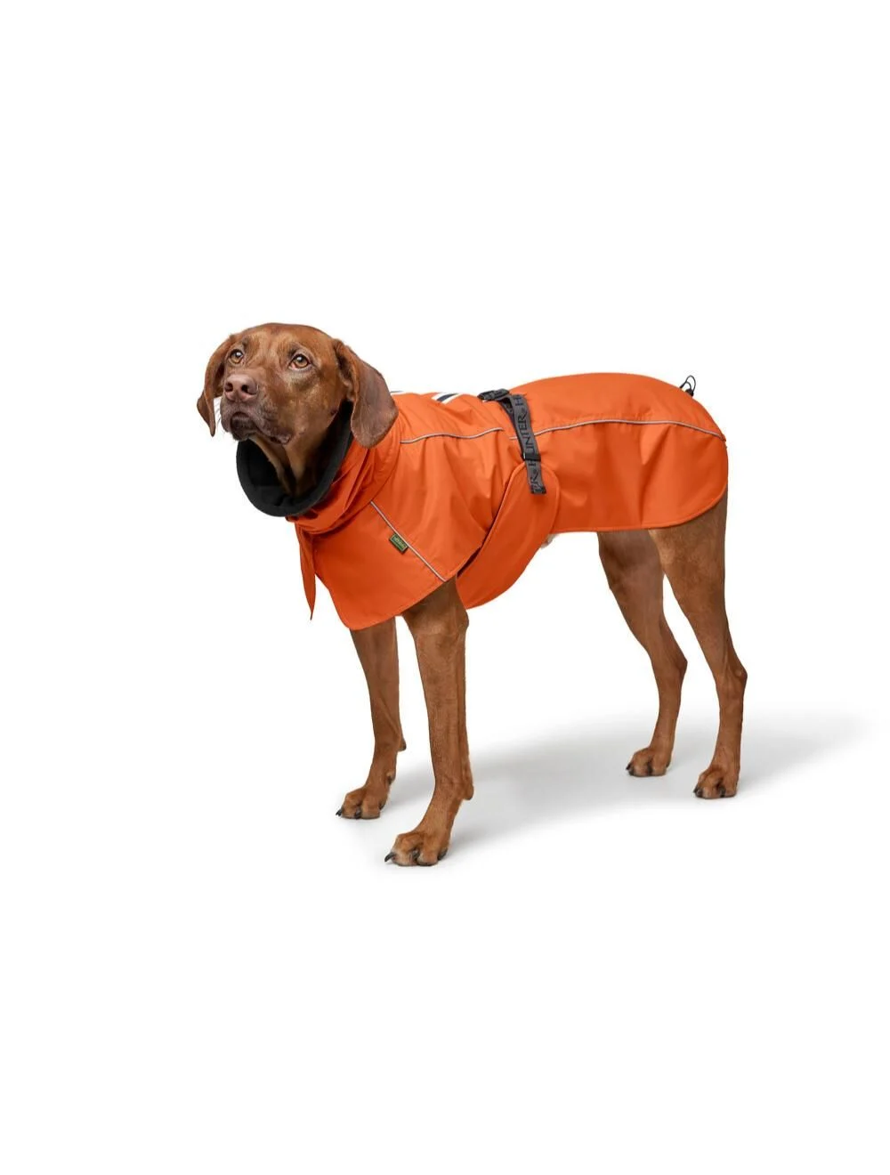Hunter - Dogcoat Nordby 40, orange - (203423) - Gratis frakt v:3485237