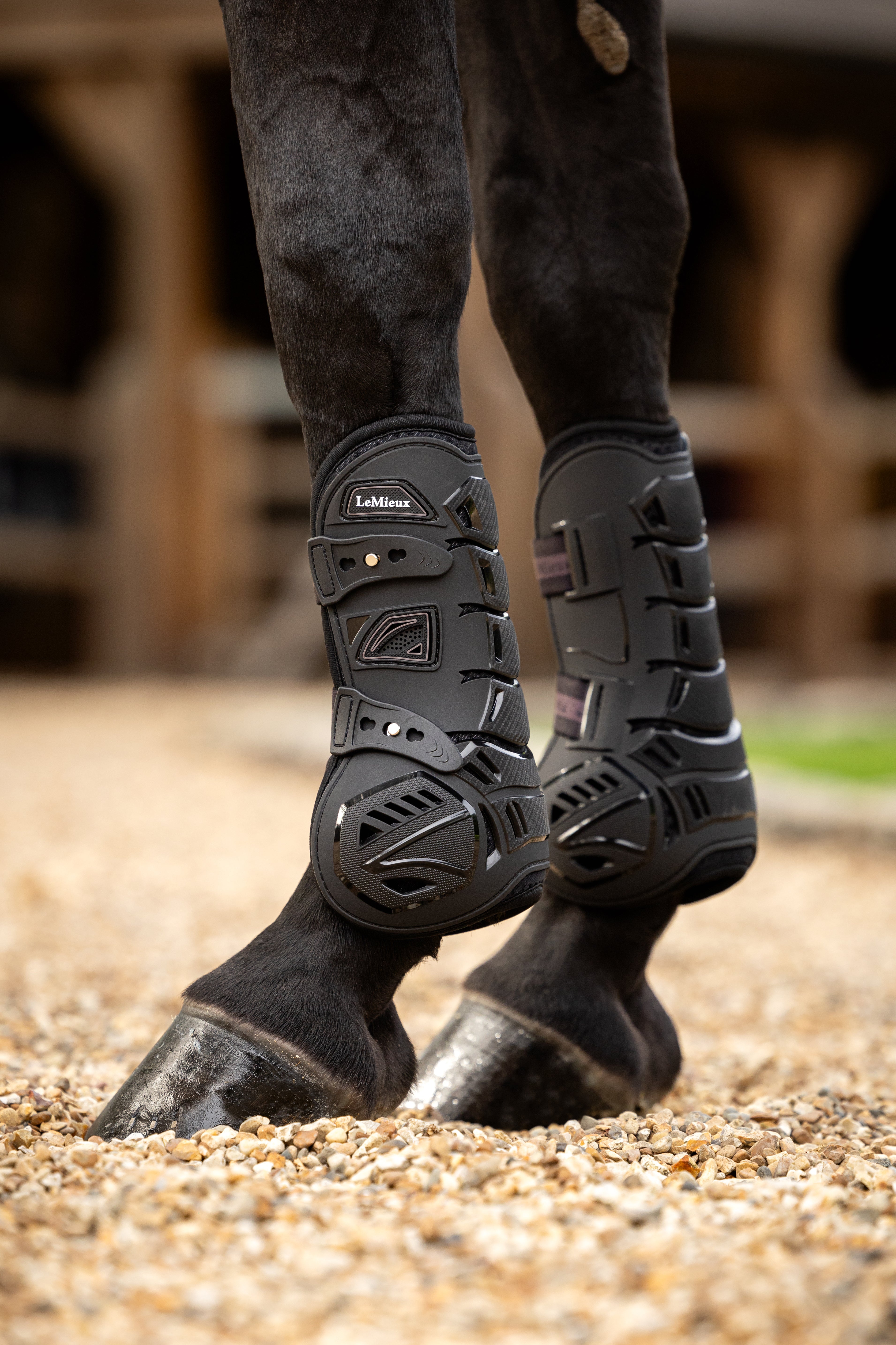 Lemieux - Motion Cool Tendon Boot - Black - Medium - Gratis frakt v:3293480