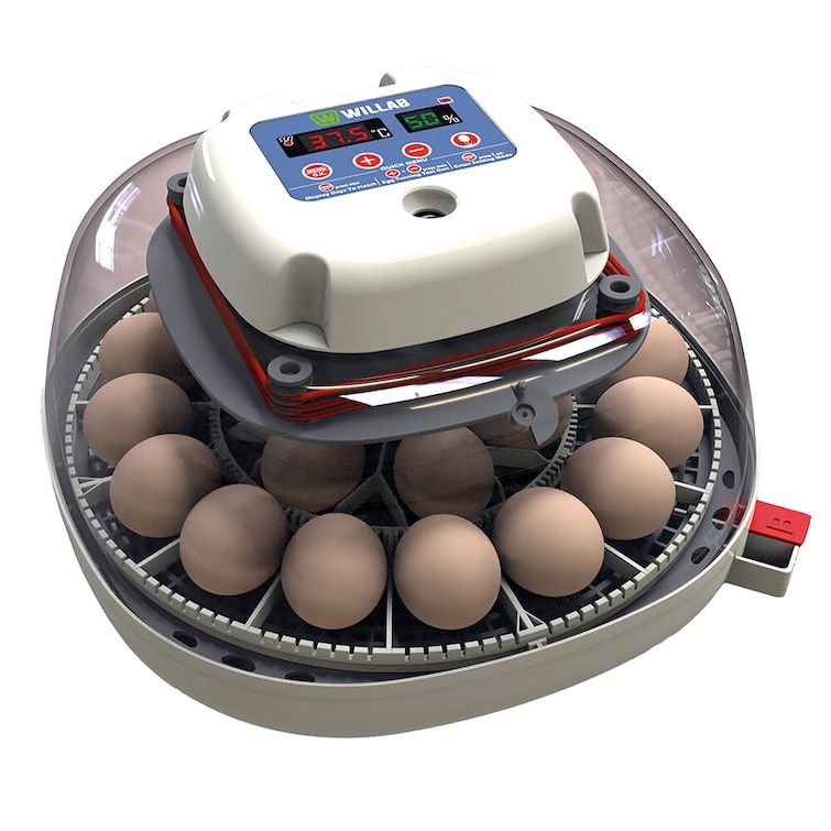 Willab – Egg incubator with room for 22 eggs – fully automated – Gratis frakt v:5476494