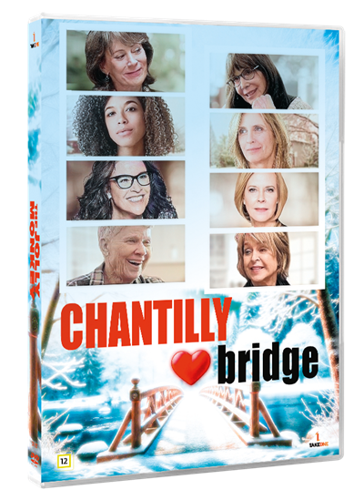 Chantily Bridge v:5711798