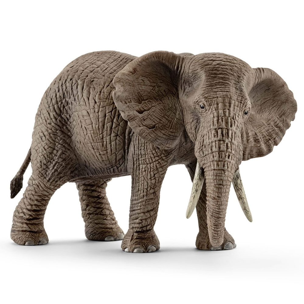 Schleich - Wild Life - African Elephant, Female (14761) v:8897803
