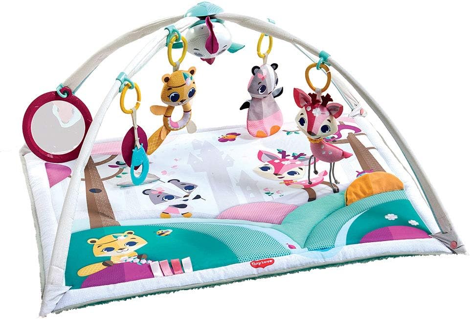 Tiny Love - Gymini Deluxe - Princess Tales (3333120554) - Gratis frakt v:6037811
