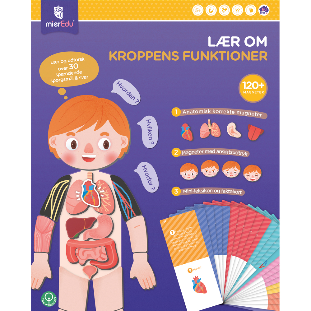 mierEdu - Magnetic Learning Box - All About Body and Emotion (Danish) - (ME097D) v:3353651