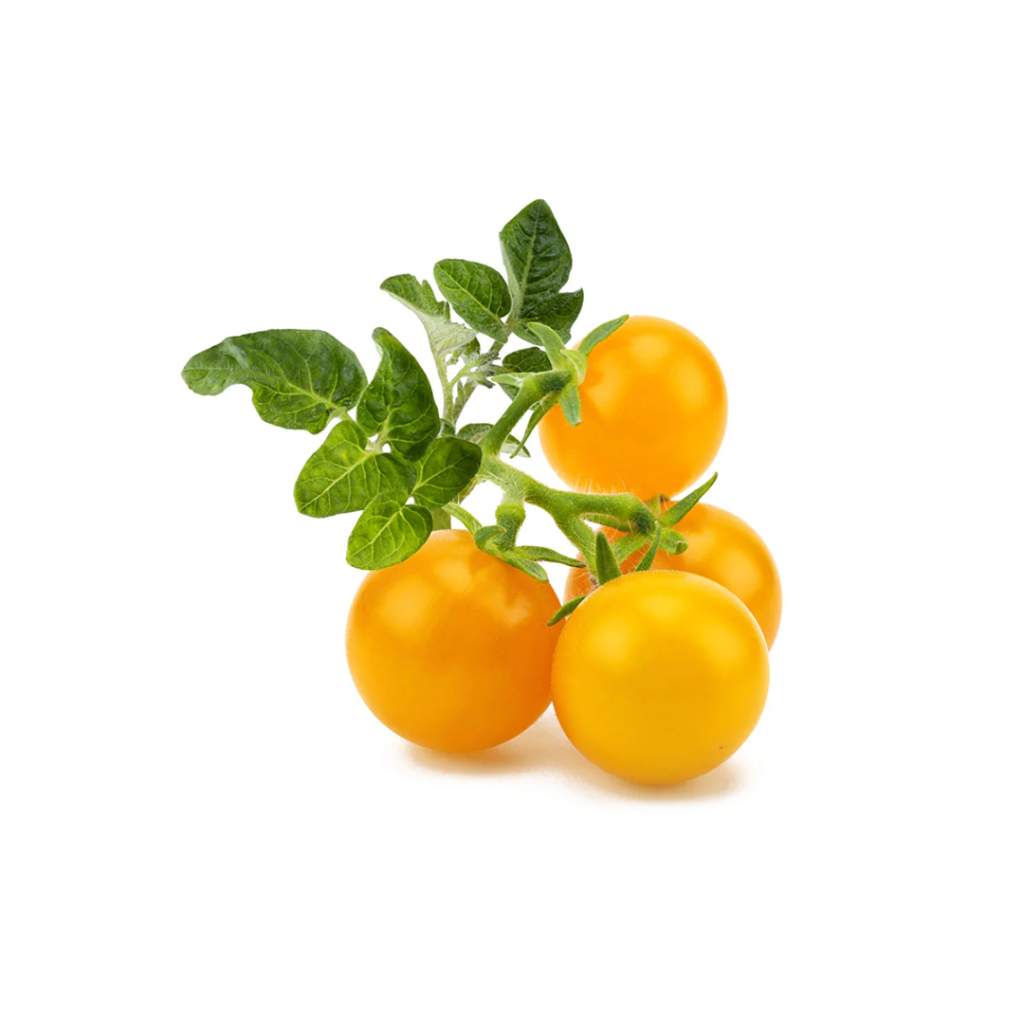 Click and Grow - Smart Garden Refill 3-pack Yellow Tomato v:8825284