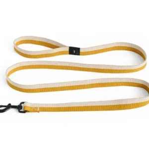HAY – Hundesnor Flat – M/L – Hvit/Oker – 160 – White & Ochre v:5828740 HAY – Hundesnor Flat – M/L – Hvit/Oker – 160 – White & Ochre v:5828740