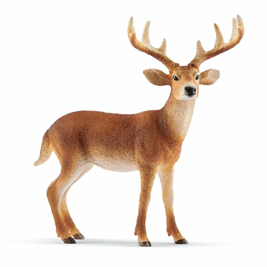 Schleich – Wild Life – White-Tailed Buck (14818) v:2962450