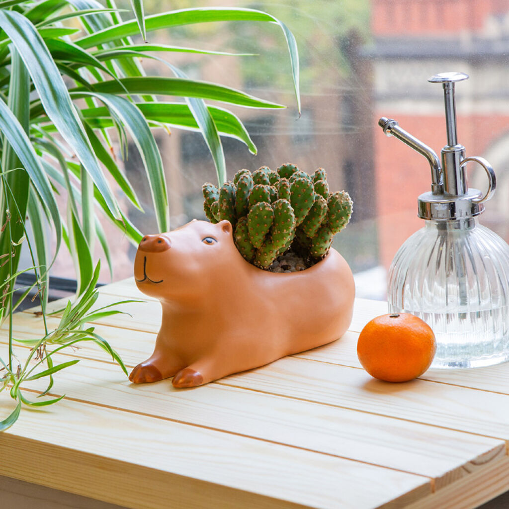 Kikkerland – Cappy the Capybara Planter – Large v:3376275 Kikkerland – Cappy the Capybara Planter – Large v:3376275